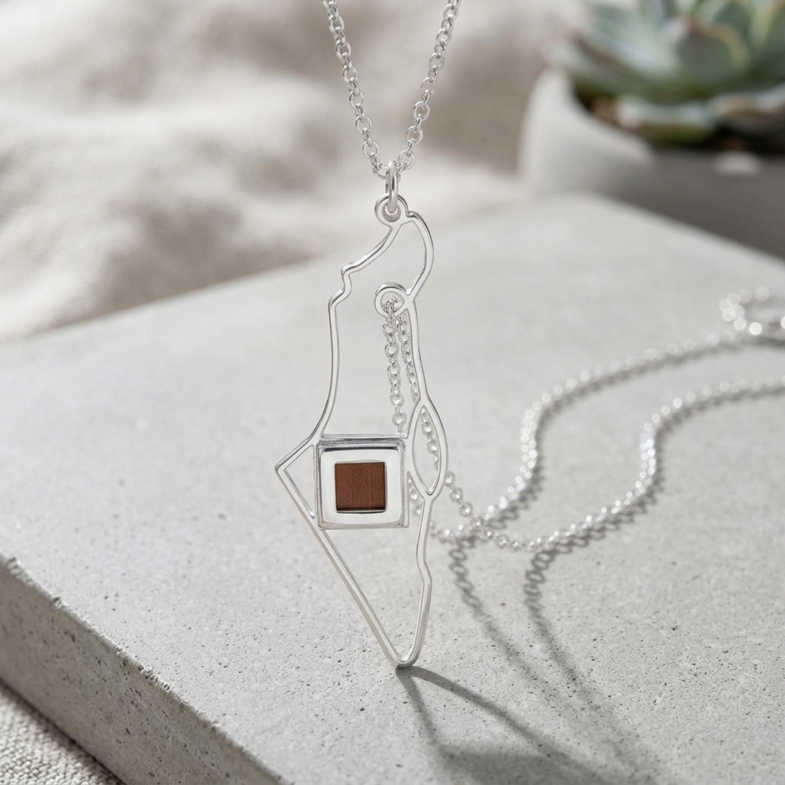 Israel Map Nano Bible Necklace, Sterling Silver Judaica Pendant Israel Map Nano Bible Necklace, Sterling Silver Judaica Pendant