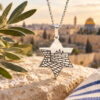 Silver Western Wall Star of David necklace on Jerusalem stone with an olive branch, tallit and the Old City in the background