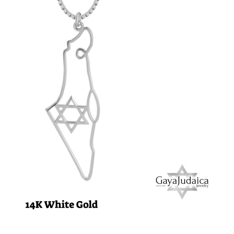 14K Gold Israel Map Necklace with Star of David — detail view, handmade in Israel