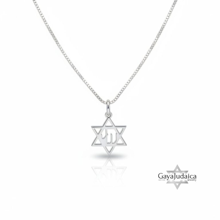 Sterling Silver Mini Chai Star of David Necklace — view 2