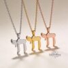 Hebrew Chai pendant in Gaya Judaica gift box.