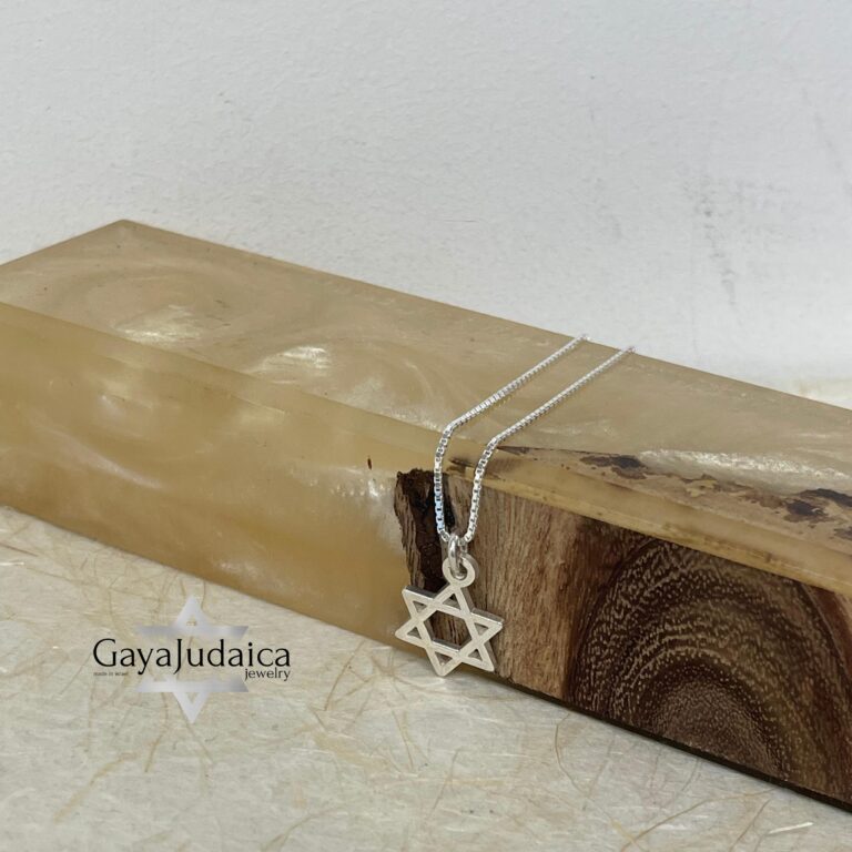 Mini Star of David Pendant Necklace — view 1