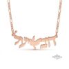 Custom Hebrew Two-Name Necklace with Dove — view 4