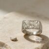 Sterling Silver Lion Ring — top-down composition, Jewish jewelry gift