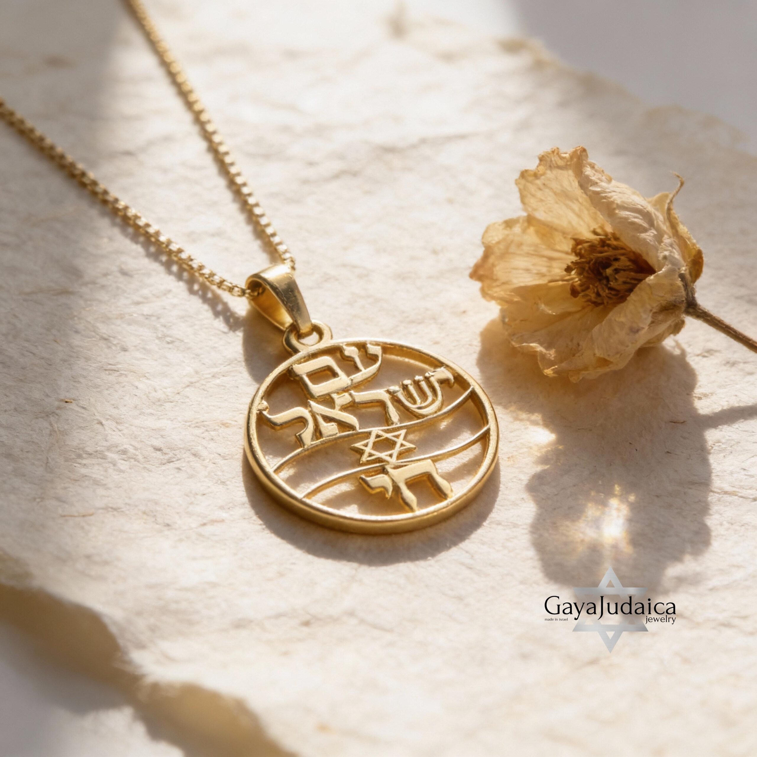 14K Gold Am Yisrael Chai Necklace, Star of David Disc Pendant 14K Gold Am Yisrael Chai Necklace, Star of David Disc Pendant