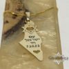 Gold Israel map memorial pendant against olive wood