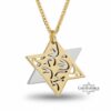 Two-tone gold Star of David necklace on a spiga chain