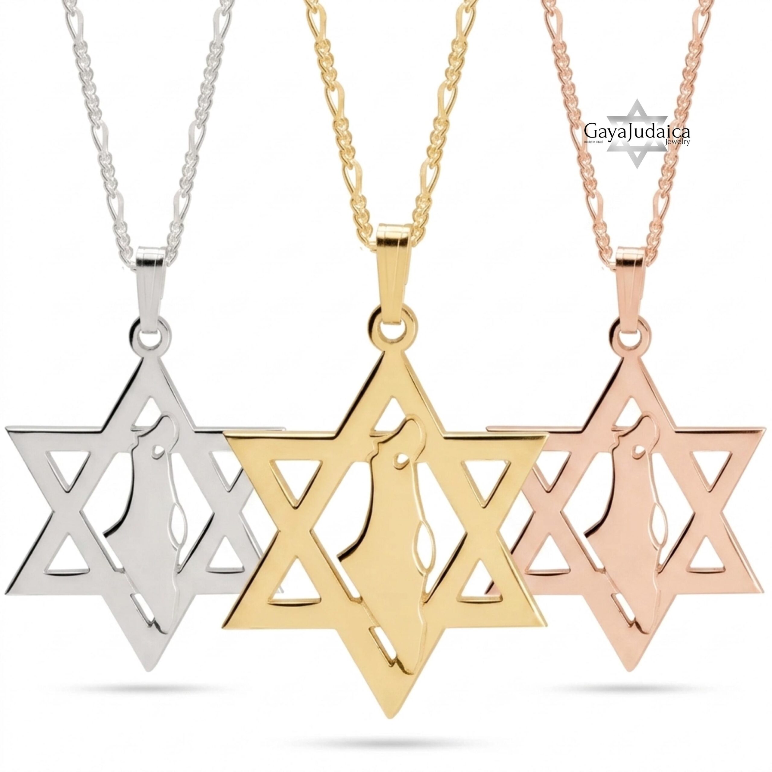 Star of David Necklace with Israel Map Cut-Out, Judaica Pendant Star of David Necklace with Israel Map Cut-Out, Judaica Pendant