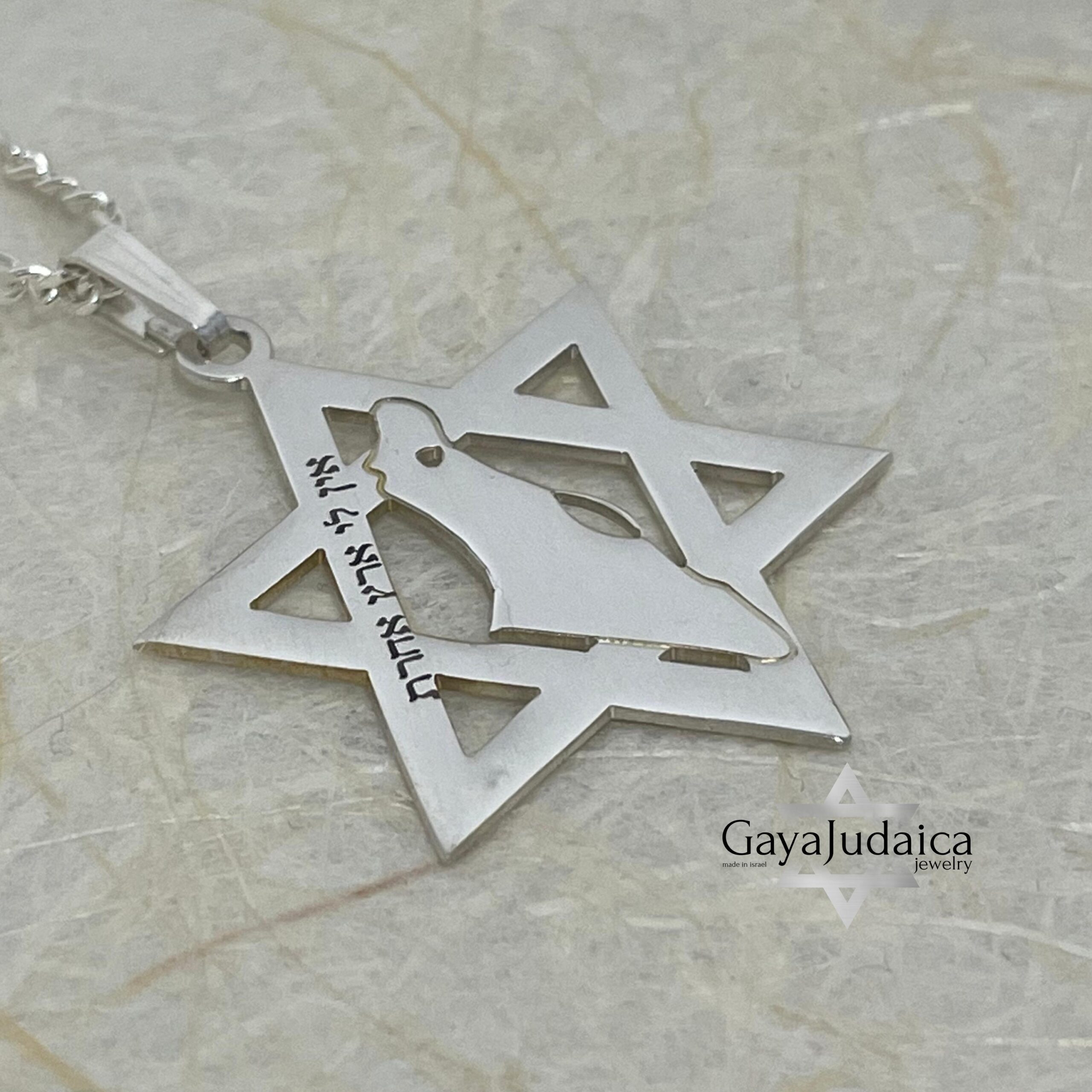 Star of David Necklace with Israel Map Cut-Out, Judaica Pendant Star of David Necklace with Israel Map Cut-Out, Judaica Pendant
