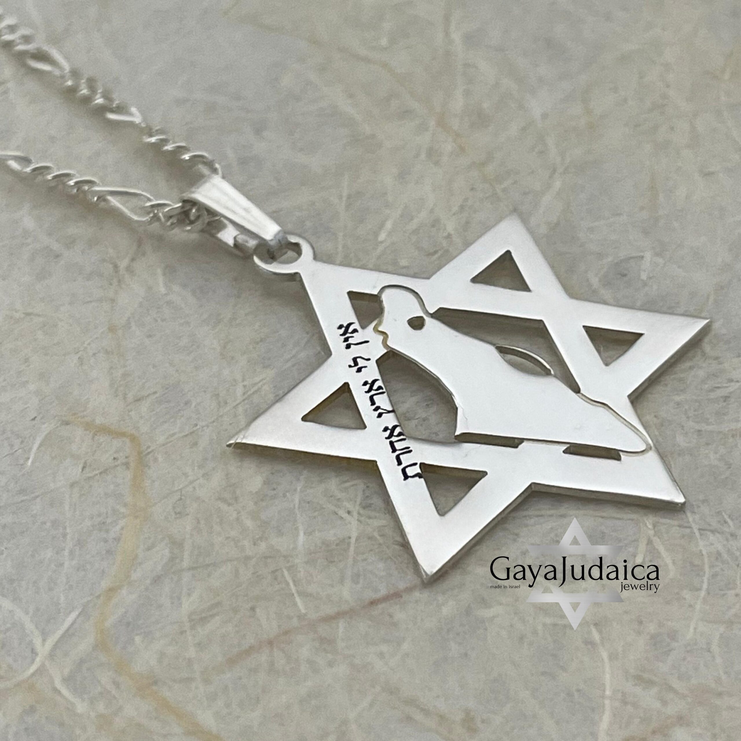 Star of David Necklace with Israel Map Cut-Out, Judaica Pendant Star of David Necklace with Israel Map Cut-Out, Judaica Pendant
