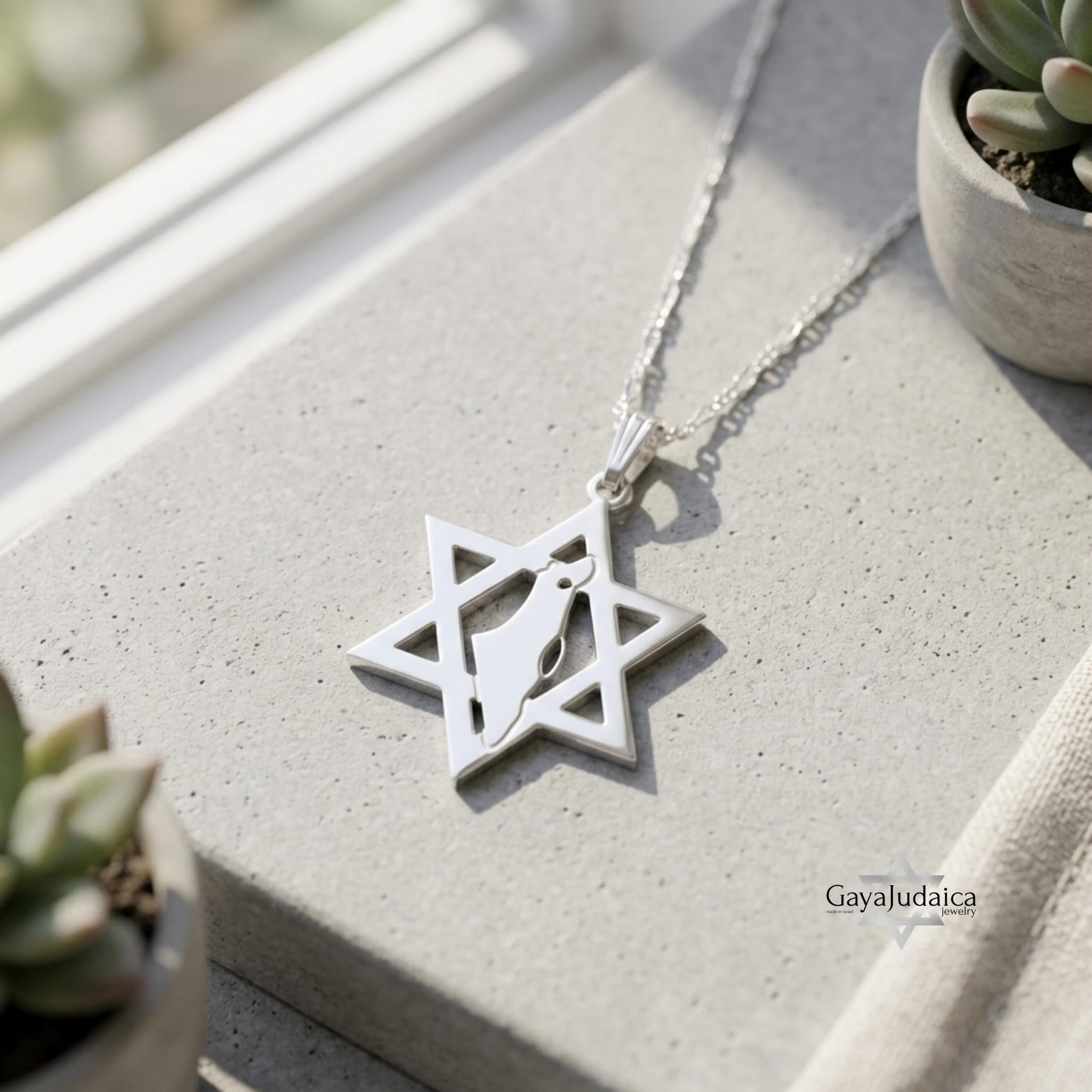Star of David Necklace with Israel Map Cut-Out, Judaica Pendant Star of David Necklace with Israel Map Cut-Out, Judaica Pendant