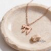 Hebrew Chai Necklace with Israel Map — rose gold Chai necklace on a stone dish