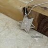 Gold plated Star of David necklace styled with dried blossom