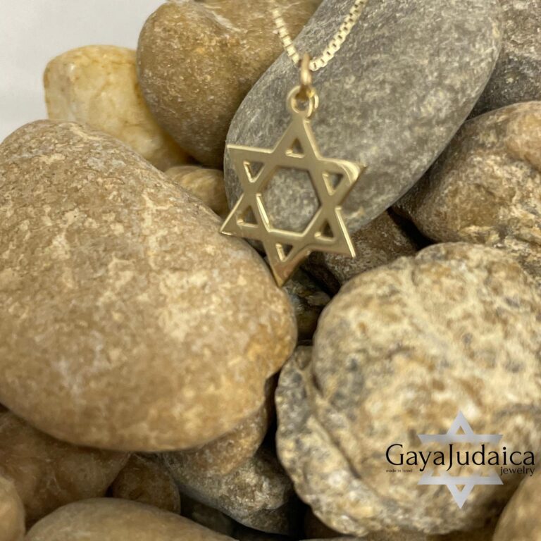 Dainty 14K Gold Star of David Necklace: Jewish Symbol Charm
