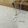 Custom Number Necklace, Sterling Silver Pendant, Gold or Rose Plated, Minimalist Unisex - handmade in Israel