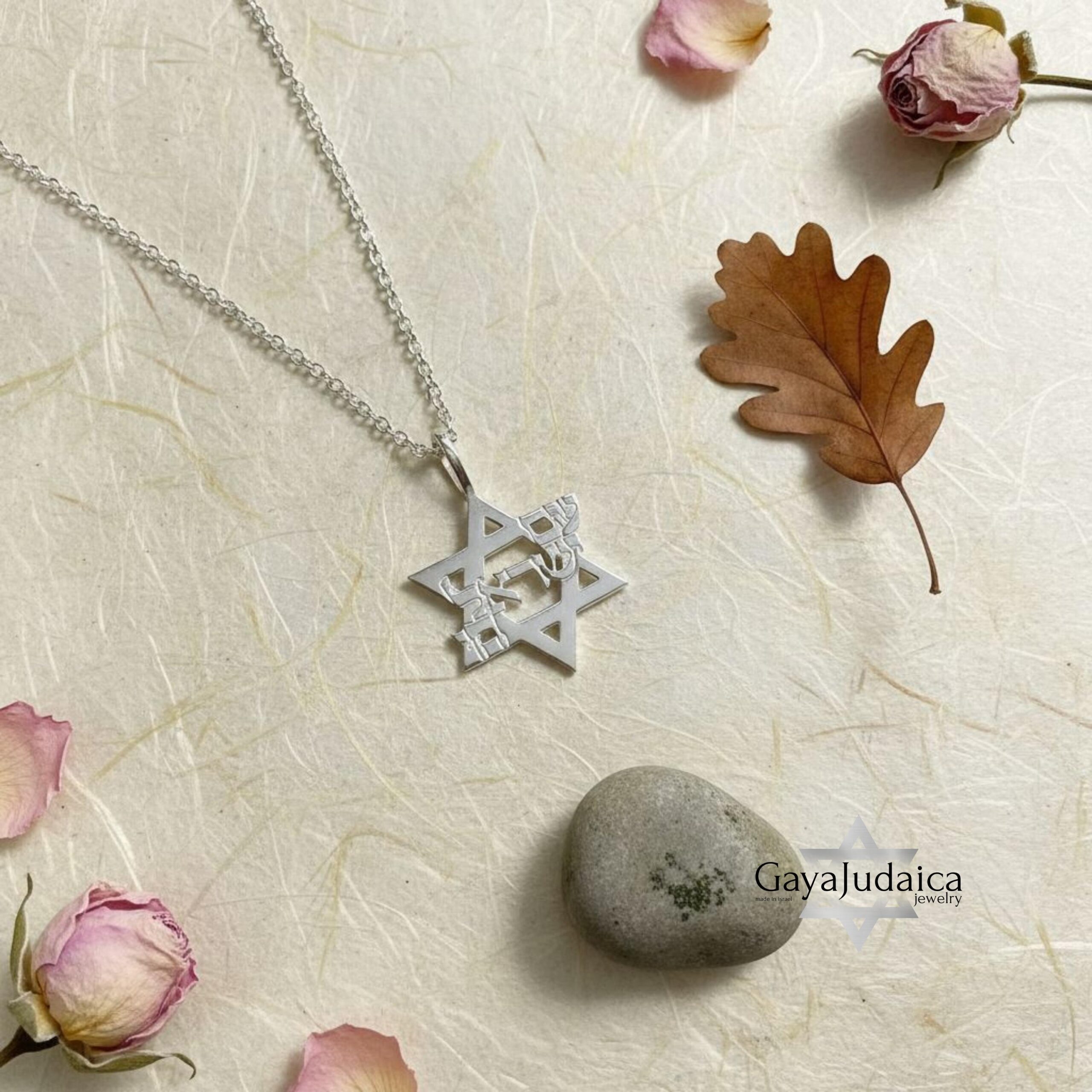 Am Yisrael Chai Star of David Necklace, Sterling Silver Hebrew Letters Am Yisrael Chai Star of David Necklace, Sterling Silver Hebrew Letters