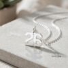 Custom Number Necklace, Sterling Silver Pendant, Gold or Rose Plated, Minimalist Unisex - handmade in Israel