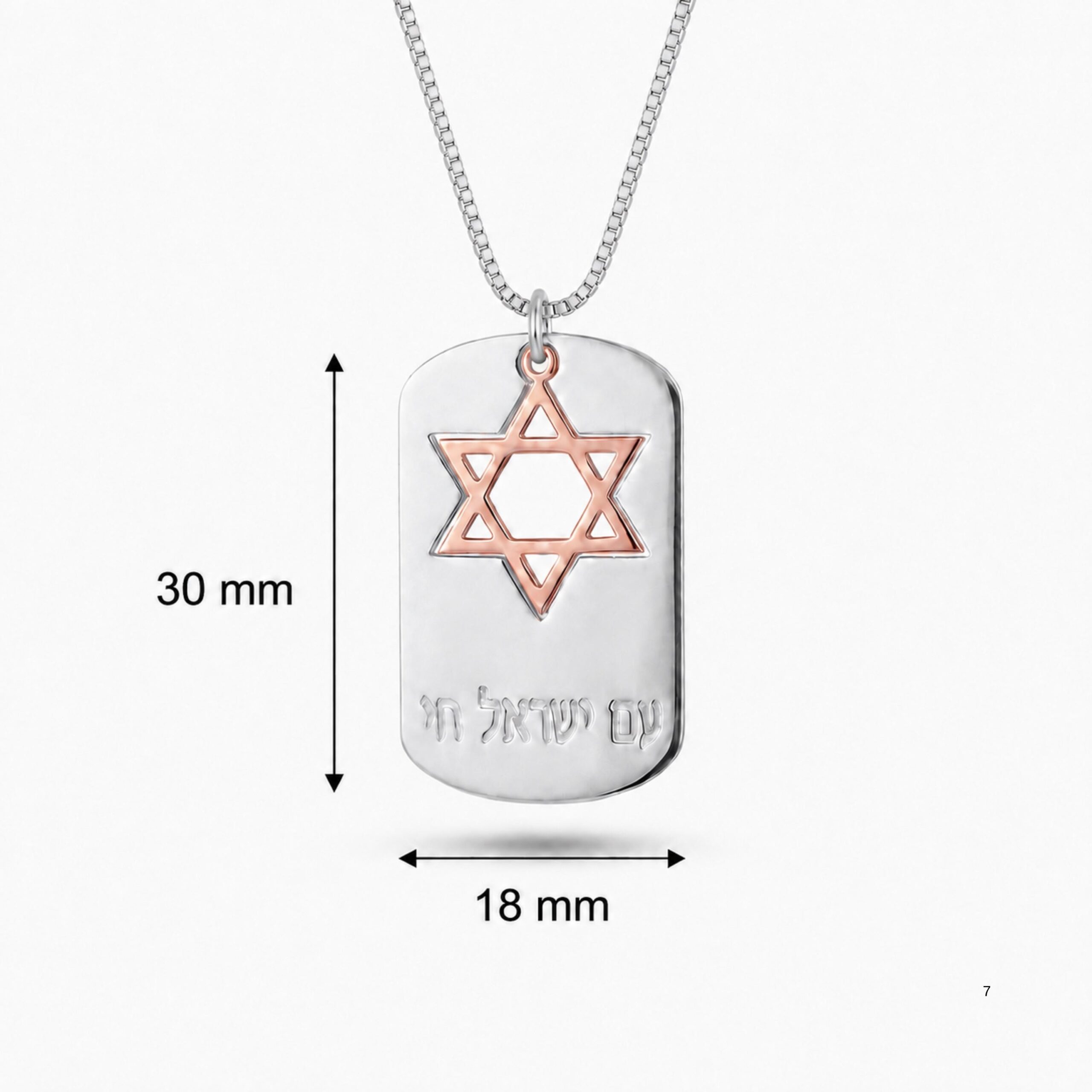 Am Yisrael Chai Dog Tag Necklace, Sterling Silver with Star of David Am Yisrael Chai Dog Tag Necklace, Sterling Silver with Star of David